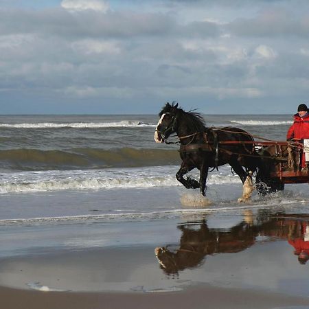 Ferienwohnung Centraal Aan Zee Egmond aan Zee Exterior foto