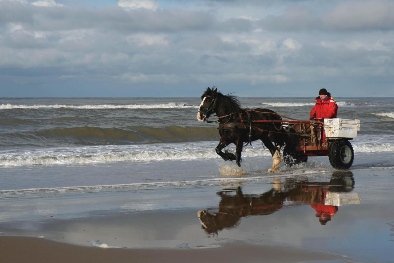 Ferienwohnung Centraal Aan Zee Egmond aan Zee Exterior foto